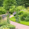7.5 Feet Metal Garden Arch for Climbing Plants and Outdoor Garden Decor