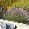 Outsunny Garden Fence, 4 Pack Steel Fence Panels, 11.4' L x 43" H, Rust-Resistant Animal Barrier Decorative Border Flower Edging for Yard, Landscape,