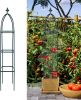 Garden Obelisk Trellis for Climbing Plants Outdoor 165cm Rose Bush Sqaure Trellis for Pots Rustproof Metal Plant Flower Trellises for Vine Jasmine Sup